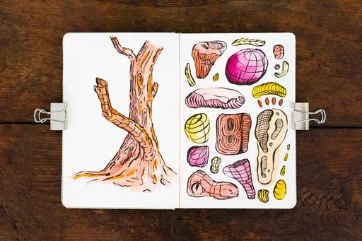 Open sketchbook with a tree study and colourful drawings of everyday objects.